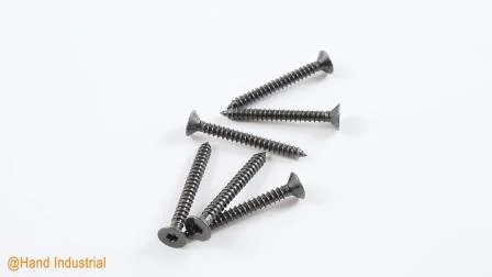 Ss 410 St3.5~6.3 Hex Wafer Head Self Drilling Roofing Screws